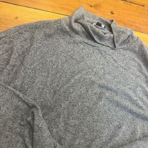 Express cropped Turtleneck Sweater